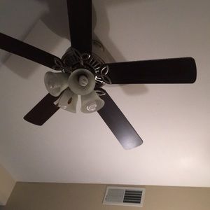 Meet your Posher, Dylan